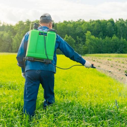 Pestisitlere Maruz Kalmanızı Azaltmanın 6 Yolu