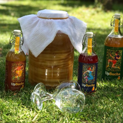 Kombucha ve Bağırsak Mikrobiyomu Arasındaki Bağlantı